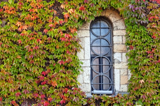 window on the old stone wall with orange and green leaves  