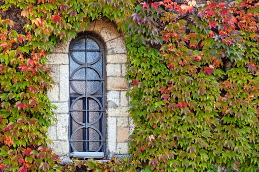 window on the old stone wall with orange and green leaves  