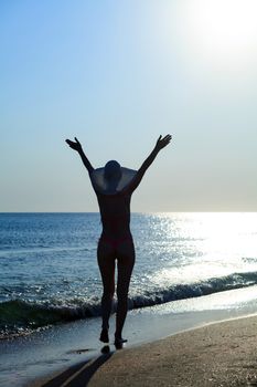 Woman in bikini walking on the beach