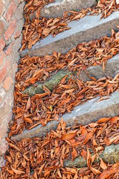 Old Stone Stairway in the Fall with fallen leaves at Belgrade fortress, Belgrade Serbia