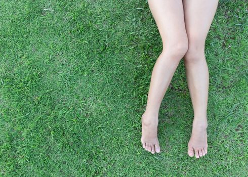 Closeup woman legs on grass background
