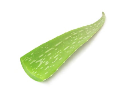 Closeup fresh aloe vera  on white background, beauty and healthy care concept