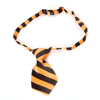 orange tie in front of white background