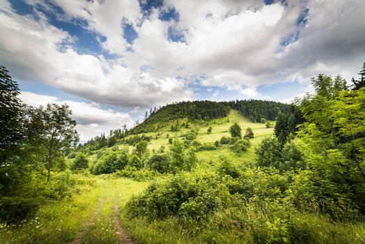 Gomolnik Maly - Suche Mountanins, Poland