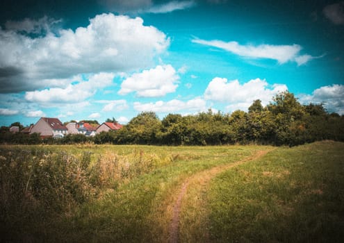 Spring nature, landscape in wyken croft park, UK