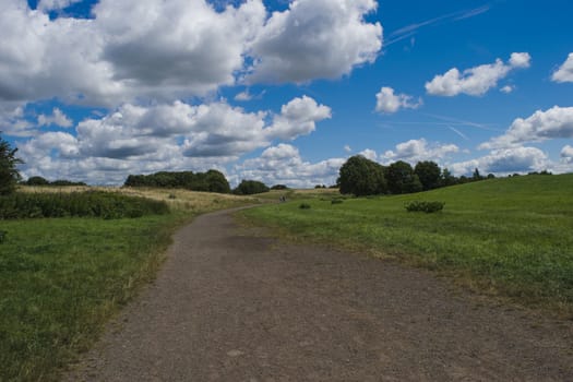 Spring nature, landscape in wyken croft park, UK