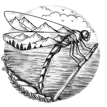 Tattoo style illustration of a Dragonfly with Mountain scene inside Wings with lake ocean in background done in hand drawn sketch Tattoo drawing style.
