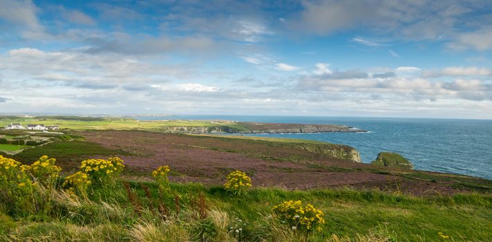 Anglesey island, north if wales, fantastic spot.