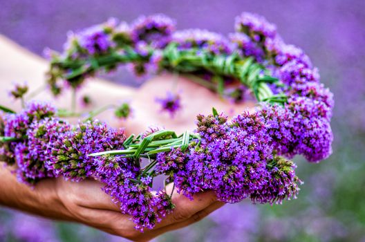 purple flower wreath on hands on nature background