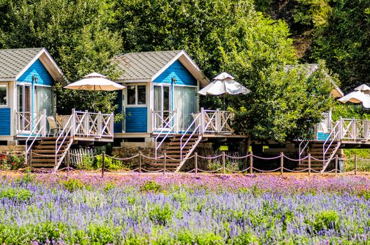 summer houses in a beautiful landscape