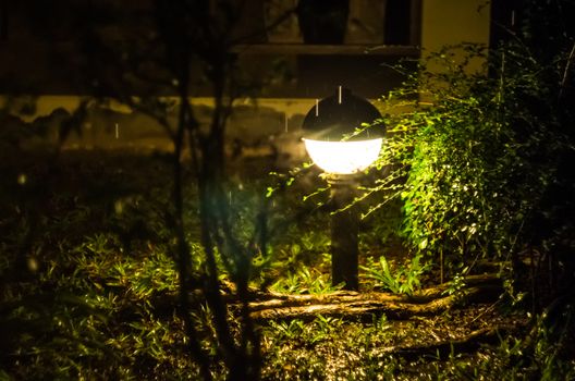 lantern light in the night park
