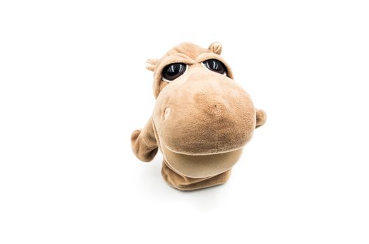 toy hippo on the white background