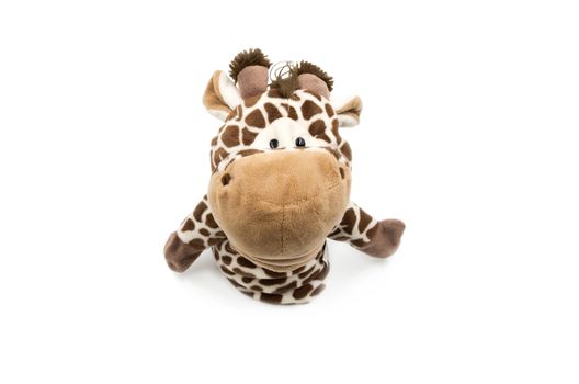 toy giraffe on the white background