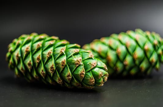 green fir cones on the black background