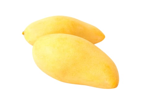 Fresh mango fruit on white background