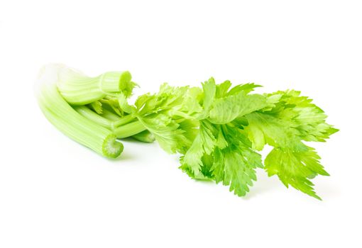 Fresh celery vegetable on white background, healthy food concept