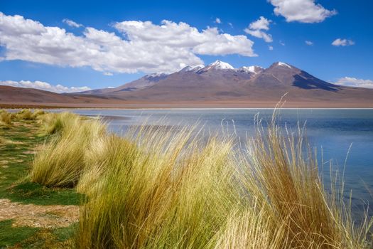 Altiplano laguna in sud Lipez reserva Eduardo Avaroa, Bolivia