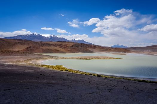 Laguna Honda in sud Lipez Altiplano reserva Eduardo Avaroa, Bolivia