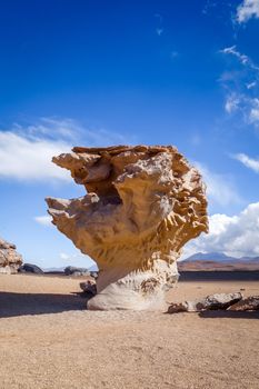 Arbol de Piedra in Siloli desert, sud Lipez reserva Eduardo Avaroa, Bolivia