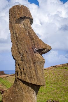 Moai statue on Rano Raraku volcano, easter island, Chile