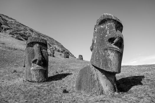 Moais statues on Rano Raraku volcano, easter island, Chile. Black and white picture
