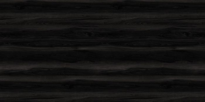 Black wood texture. background old panels. wooden texture