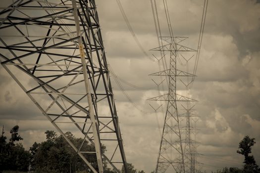 High-voltage power lines in rice fields