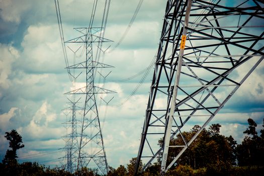 High-voltage power lines in rice fields