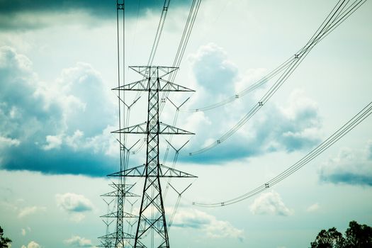 High-voltage power lines in rice fields