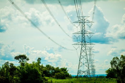 High-voltage power lines in rice fields