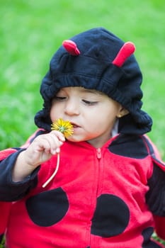 Little baby girl wearing a ladybug costume