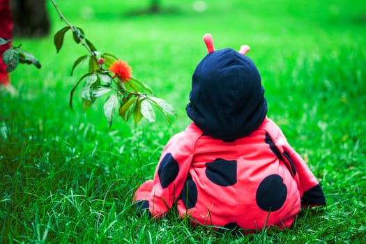 Little baby girl wearing a ladybug costume