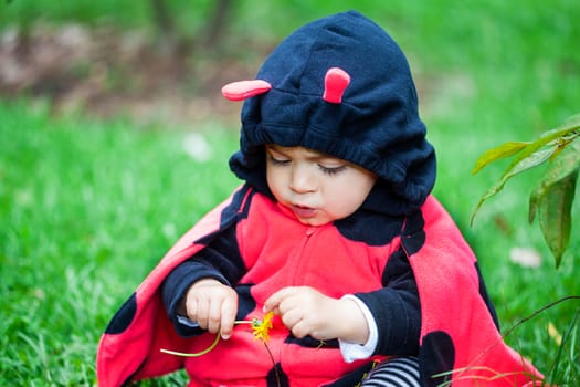 Little baby girl wearing a ladybug costume