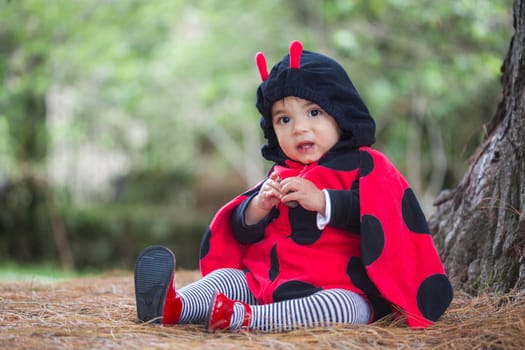 Little baby girl wearing a ladybug costume