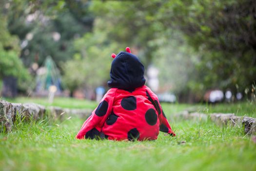 Little baby girl wearing a ladybug costume