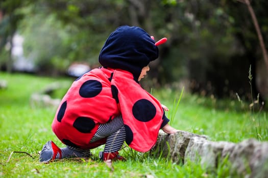 Little baby girl wearing a ladybug costume