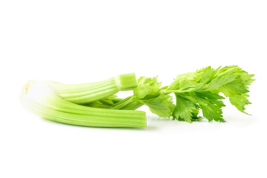 Fresh celery vegetable on white background, healthy food concept