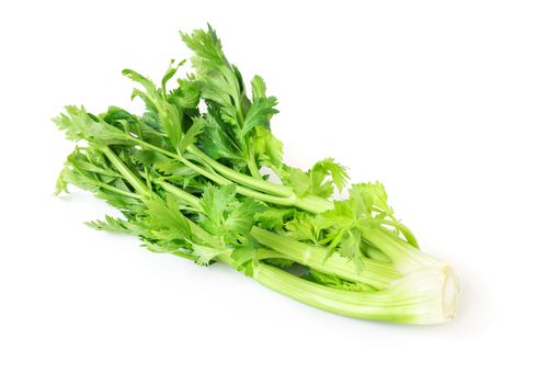 Fresh celery vegetable on white background, healthy food concept