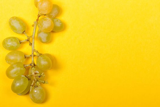 Green grape bunch on the yellow background