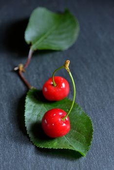 Sweet cherries and  leaf on ardesia plate