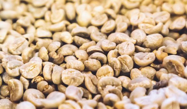 Close up raw green coffee beans unroasted background and texture concept vintage tone, selective focus