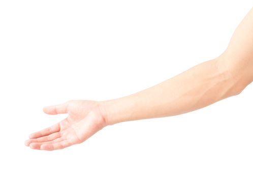 Man arm with blood veins on white background