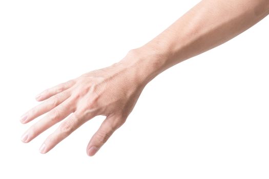 Man arm with blood veins on white background, health care and medical concept