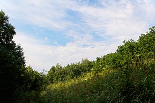 A steep slope covered with green grass and forest.