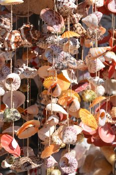 Close up of colorful seashells hanging on ropes