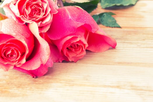 beautiful pink roses on table. copy space