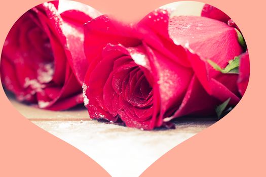 beautiful red color roses on wooden table