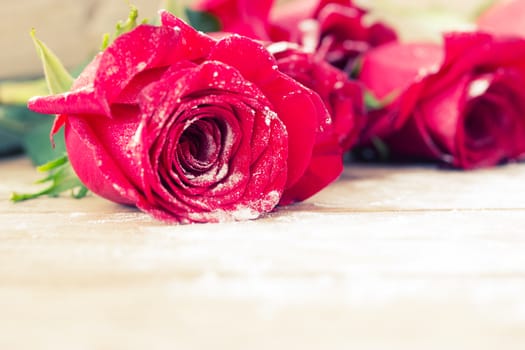 beautiful red color roses on wooden table