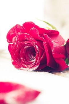 beautiful red color roses on wooden table