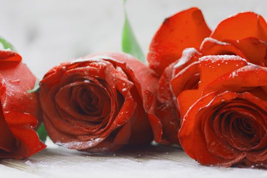 beautiful red color roses on wooden table